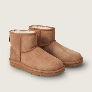 Uggs classic mini chestnut size 6